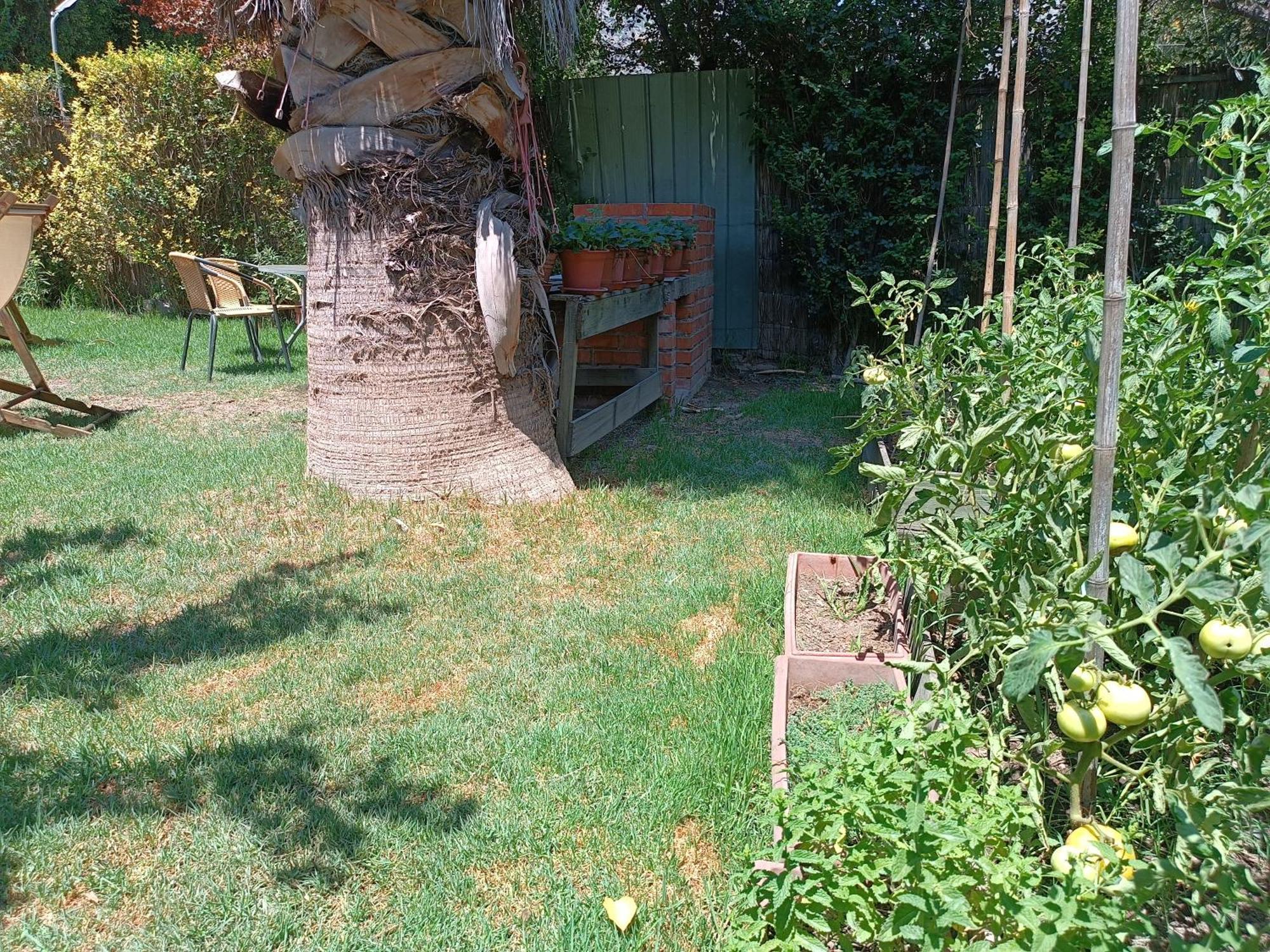Cabana El Tiempo Es Arte San José de Maipo 외부 사진